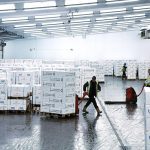 Cold Chain Logistics
