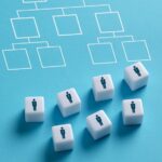 Organizations